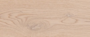 Дуб Ирбис - Oak Irbis